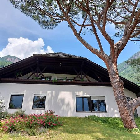 Villa Pinie Apt 1 Terlan Exterior foto